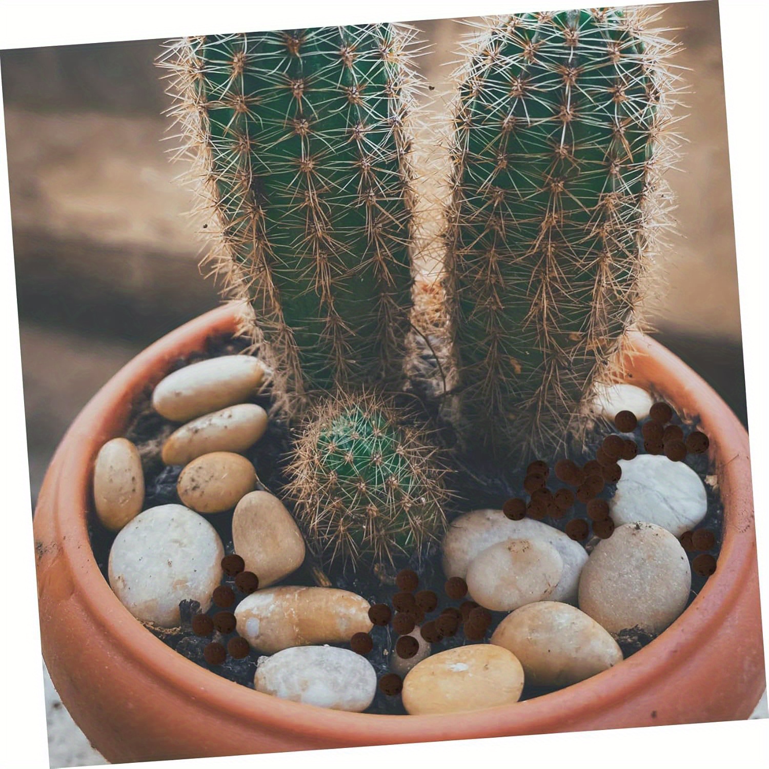 450-500g Aquarium Hydroponic C - Clay Pebble Growing 评论和价格