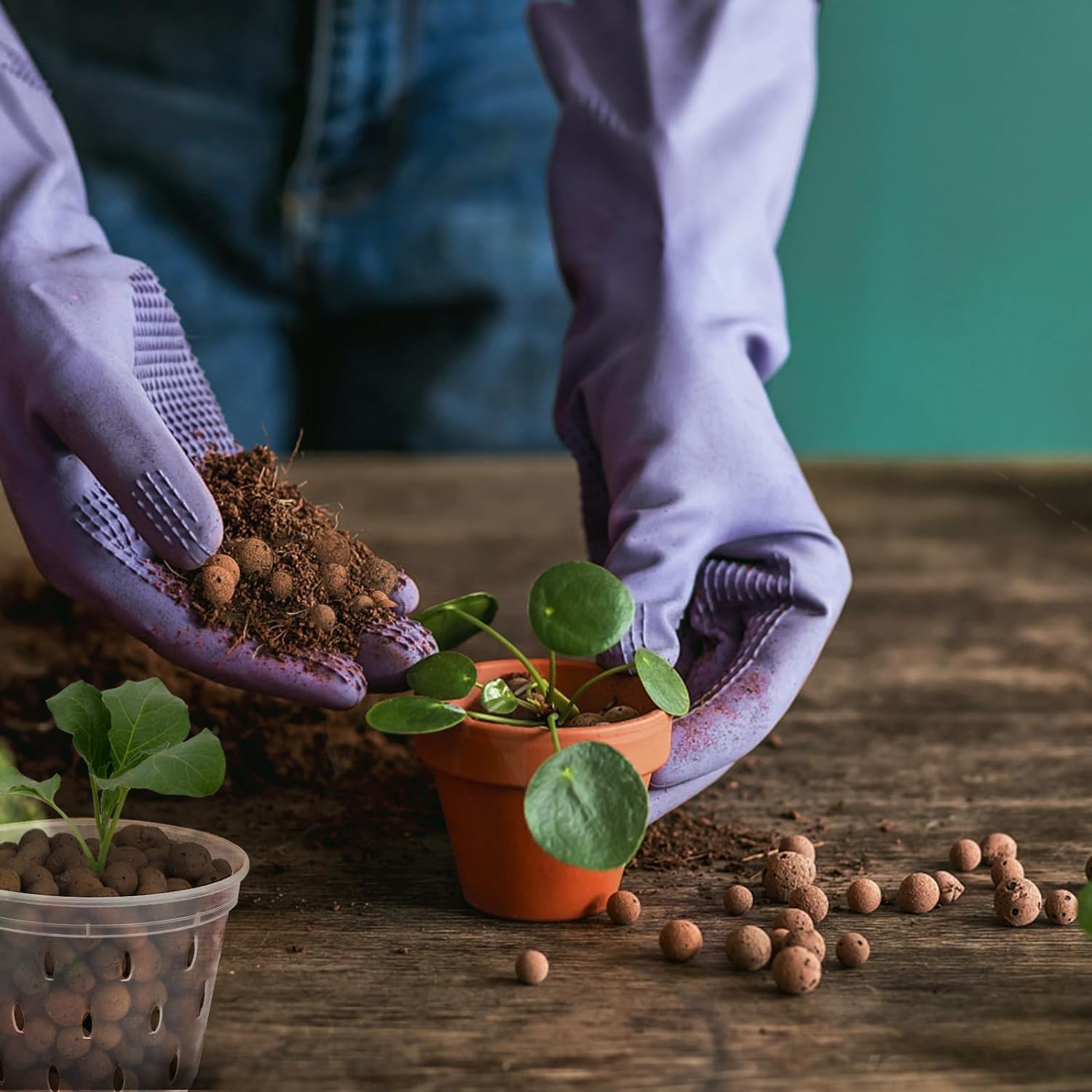 2L/1L Organic clay balls, Flow - Clay Pebble Growing 评论和价格