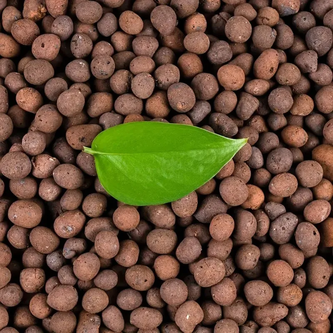1LB Reusable Hydroponic Clay P - Clay Pebble Growing 评论和价格