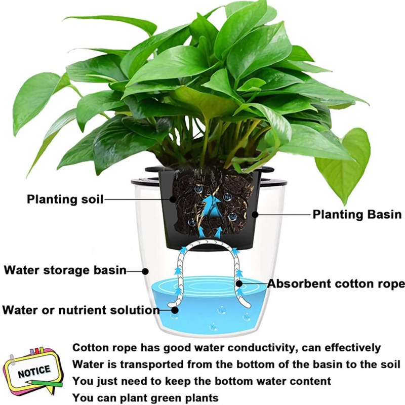 4/5/6mm Self-Watering Cotton R - Urban Farming System 评论和价格