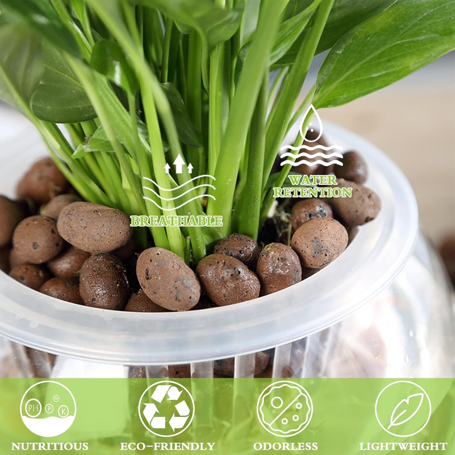 1L Organic Clay Pebbles 100% N - Clay Pebble Growing 评论和价格