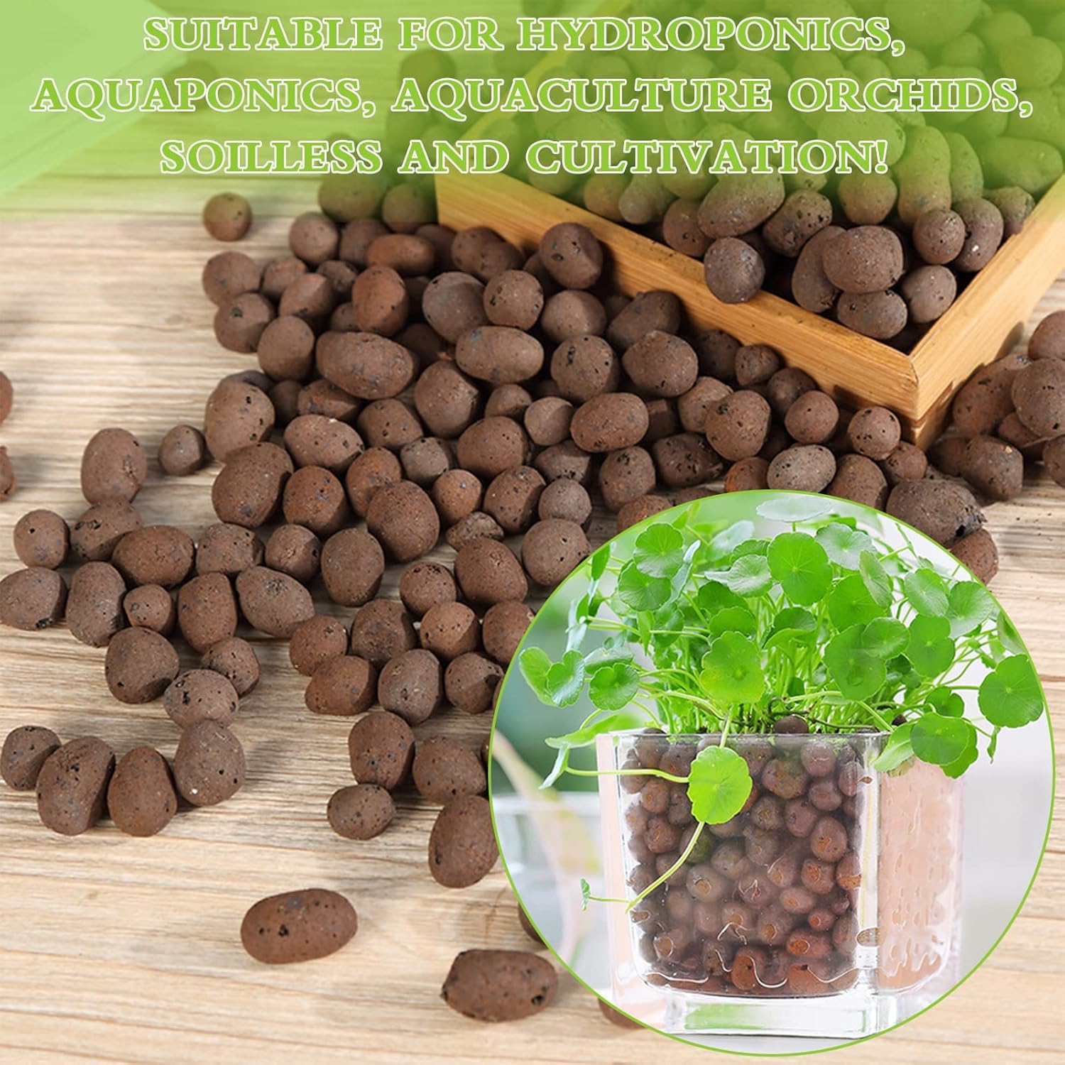 1L Organic Clay Pebbles 100% N - Clay Pebble Growing 评论和价格